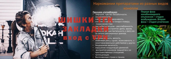 прущая мука Богданович